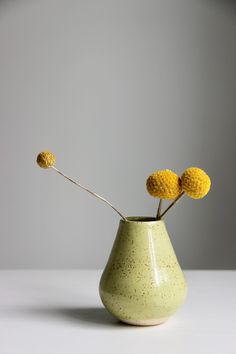 two yellow flowers in a green vase on a white countertop against a gray background