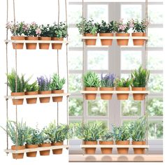 three hanging planters filled with succulents and plants