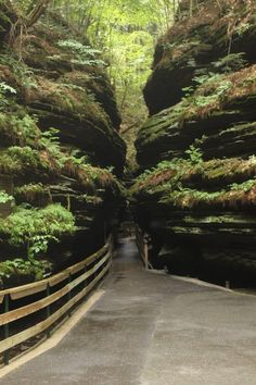 a narrow road surrounded by trees and rocks