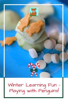 a close up of food on a plate with text that reads winter learning fun playing with penguins