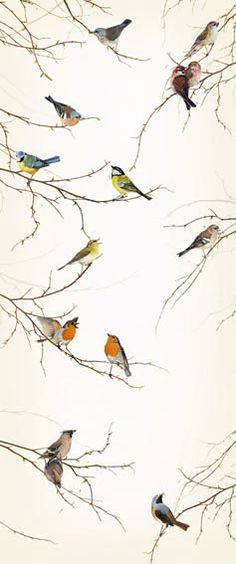 a group of birds sitting on top of a tree next to each other in front of a white background