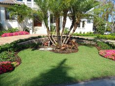 this is an image of a tropical garden in front of a white house with pink flowers and palm trees