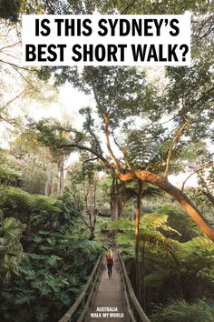 a person walking across a wooden bridge in the woods with text overlay that reads is this sydney's best short walk?