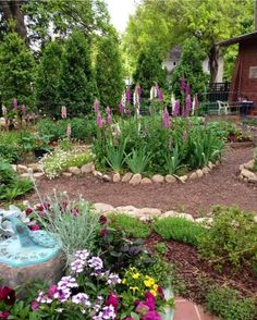 a garden filled with lots of flowers and plants