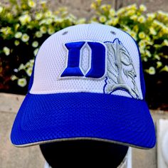 a blue and white hat with the letter d on it