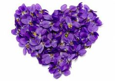 purple flowers arranged in the shape of a heart