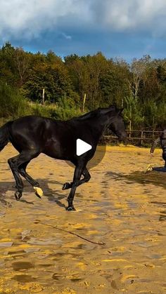 a horse is running in the sand with another horse