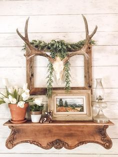 a deer skull mounted to the side of a wooden shelf next to flowers and potted plants