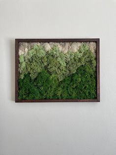 a moss covered wall hanging on the side of a white wall with a wooden frame