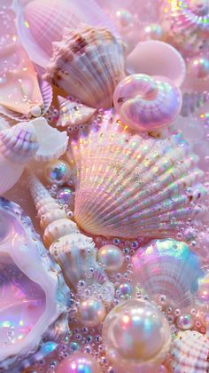 many different shells and pearls are on the sand