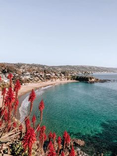 the beach is surrounded by red flowers and clear blue water, with houses in the distance