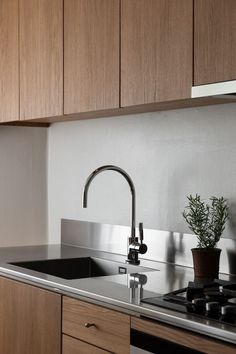 a kitchen counter with a sink, stove and potted plant