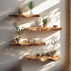 three wooden shelves with plants and pots on them