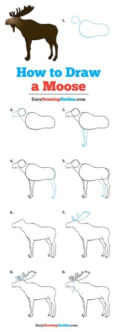 how to draw a moose with easy step by step instructions for children and adults alike