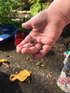 a child's hand holding a tiny animal in it's palm