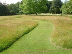 an empty path in the middle of a grassy field