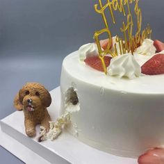 Pet Birthday Cake, Dog Wedding Cake Topper, Dog Wedding Cake, Dog Cake Topper Wedding, Cat Cake Topper, Pet Birthday, Dog Birthday Gift, Dog Cake Topper, Animal Cake