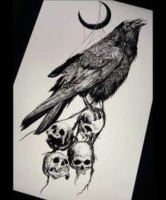 a black bird sitting on top of a pile of skulls next to a full moon