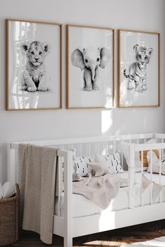 three black and white pictures hang on the wall above a crib