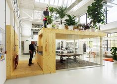 a man standing on top of a wooden structure in a room filled with potted plants