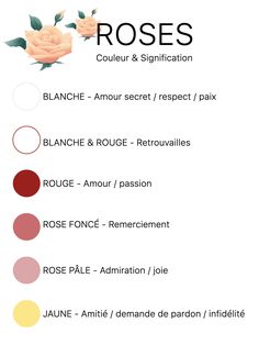 the color scheme for roses in different colors