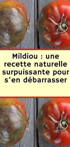 three pictures of tomatoes with the words midou une recette naturelle surpuisante pour s'en debanasser