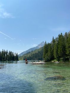 a person standing on a rock in the middle of a river surrounded by pine trees