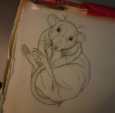 a drawing of a rat sitting on top of a piece of paper