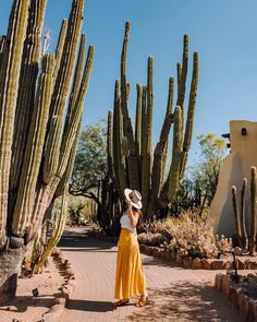 a woman in a yellow skirt and hat standing next to large cactus trees on a sunny day