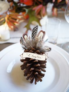 a pine cone with feathers on it sitting on a plate next to a place card