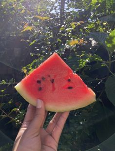 someone holding up a slice of watermelon in front of some leaves and trees