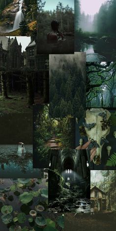 a collage of photos with water lilies and trees