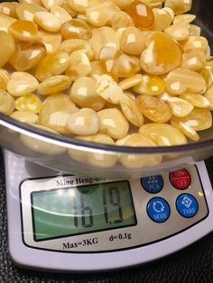 corn kernels are in a bowl on top of a digital scale, ready to be weighed