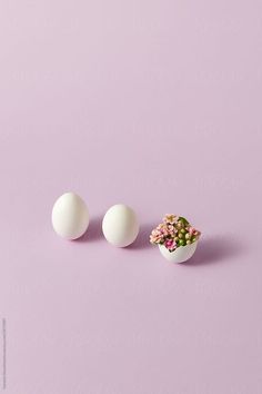 three eggs with flowers in them on a purple background