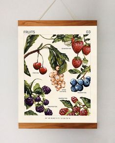 a poster hanging on the wall with fruits and berries in it's frame,