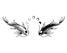 two black and white koi fish with bubbles