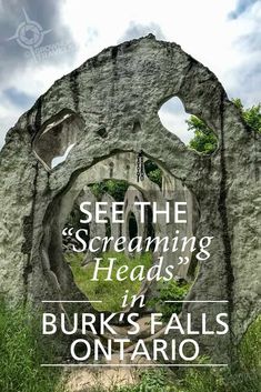 the cover of see the screaming heads in burk's falls on taro