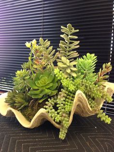 an arrangement of succulents and other plants in a bowl on a table