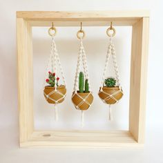 three hanging planters with plants in them and one cactus on the other handmade