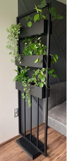 a plant stand with plants growing in it