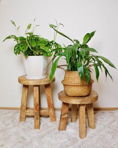 two wooden stools with plants in them