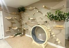 a room filled with shelves and plants on the wall next to a cat bed that is shaped like a hammock