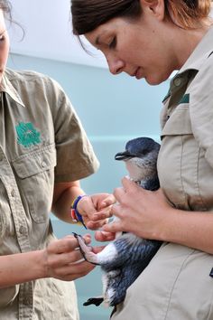 two women are holding small birds in their hands and one is touching the other's hand