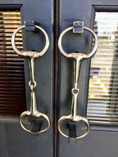 two metal handles on the front door of a building