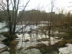 there is snow on the ground and trees in the water