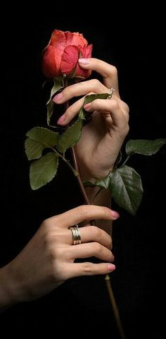 a woman's hand holding a red rose in front of her face with both hands