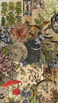 a collage of clocks, flowers, and butterflies on a wallpapered background