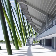 an empty building with many green and white columns on the outside, along with stairs leading up to the second floor