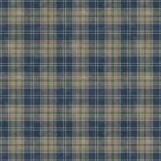 a blue and yellow plaid fabric