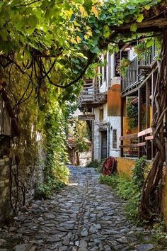 an old cobblestone street is lined with vines